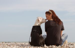 Prečo si zaobstarať psa: Tvoj Verný Štvornohý Spoločník